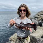 Grays Harbor Jetty Fishing at Westport Kelp Greenling