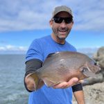 Grays Harbor Jetty Fishing at Westport Scott Turner Striped Surf Perch