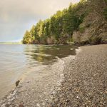Evergreen Geoduck Trail Beach
