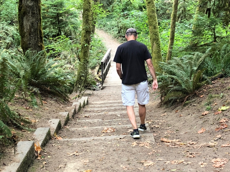 Evergreen State College Trails