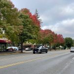 Fall Leaves in Thurston County-martin-way-sleater-kinney