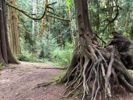 The Evergreen State College Plants