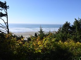 Ocean Crest Resort