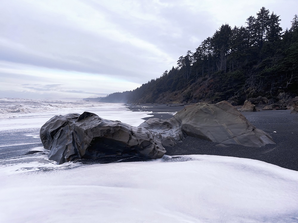 geteway washington coast Kalaloch Lodge