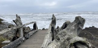 olympic peninsula beaches