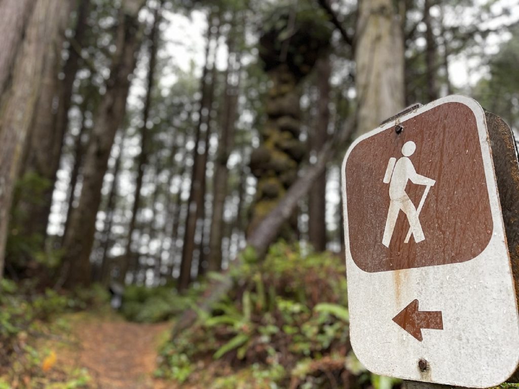 olympic peninsula beaches