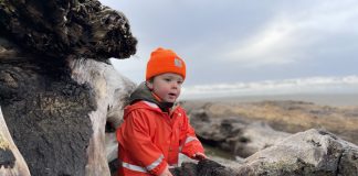 Olympic Peninsula ocean beaches