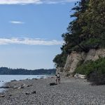 Beach Combers Indian Island Jefferson County Beaches