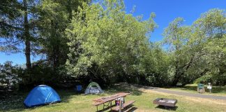 where to camp washington coast