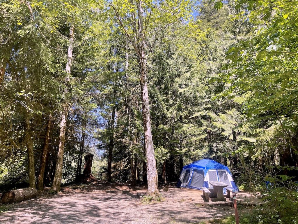 where to camp washington coast