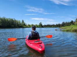 Friends Landing Sea Kayaking