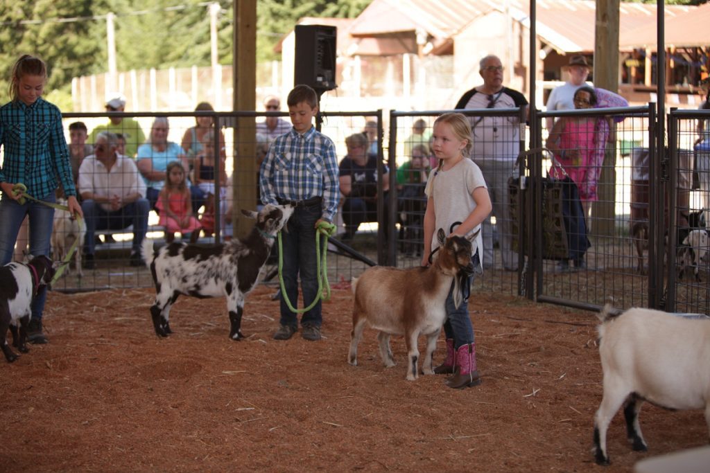 Thurston County Fair