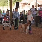Thurston County Fair 4h