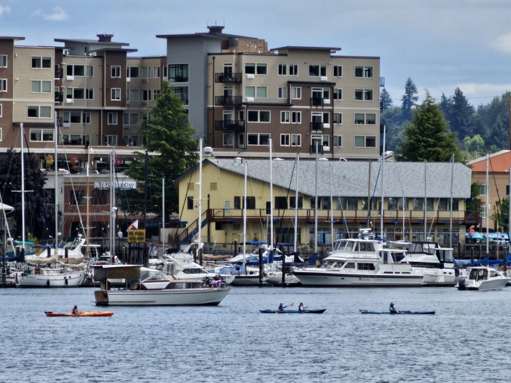 Olympia Washington Kayaking