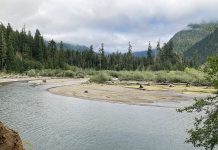 Wynoochee Lake