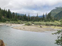 Wynoochee Lake