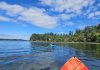 Olympia Budd Bay Kayaking