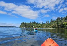 Olympia Budd Bay Kayaking