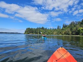 Olympia Budd Bay Kayaking