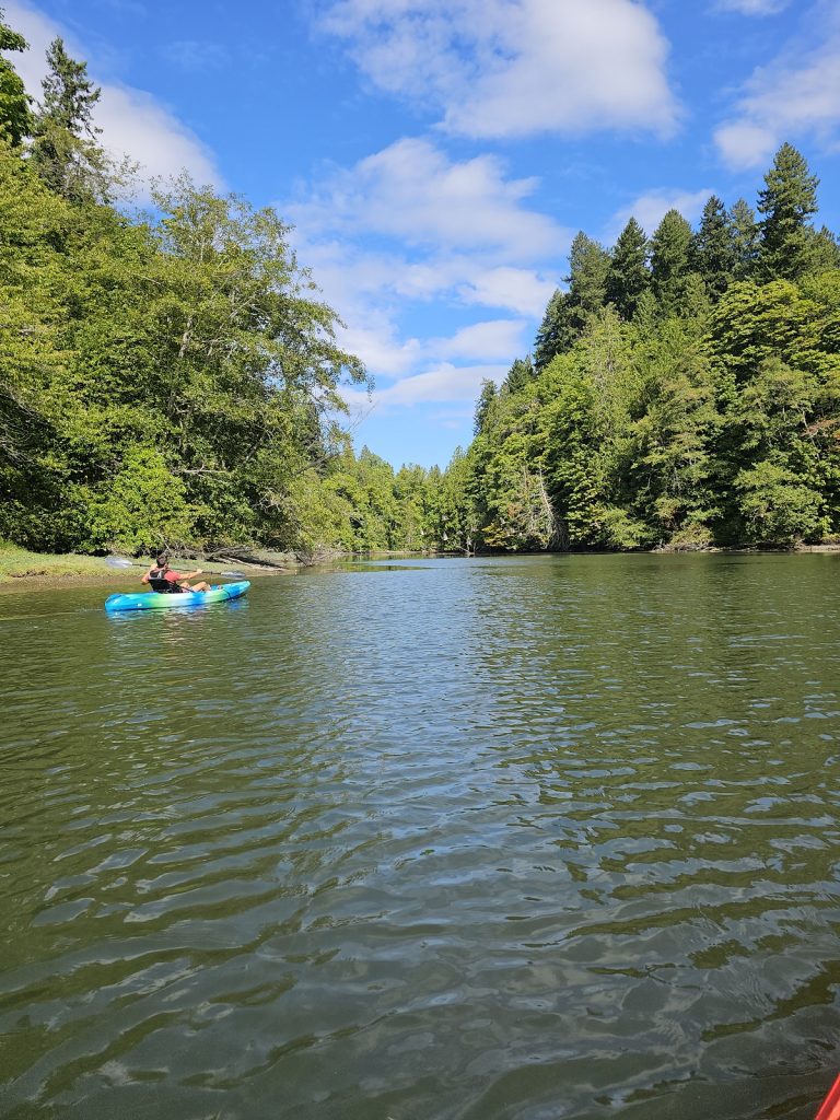 Olympia Budd Bay Kayaking