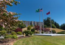 Saint Martin’s University Master of Accountancy