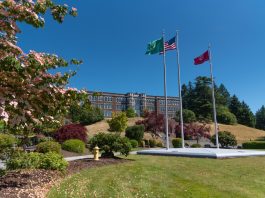 Saint Martin’s University Master of Accountancy