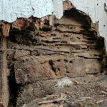 rotten wood Rambo Pest Control Tacoma