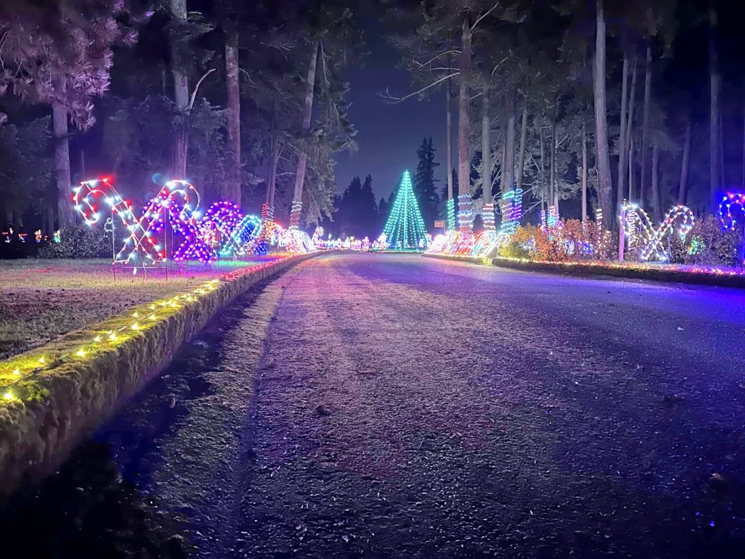 All is Merry and Bright With Christmas Light Displays in South Sound and in 2024