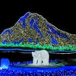 Holiday Lights in Tacoma Zoolights