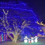 Holiday lights Tacoma