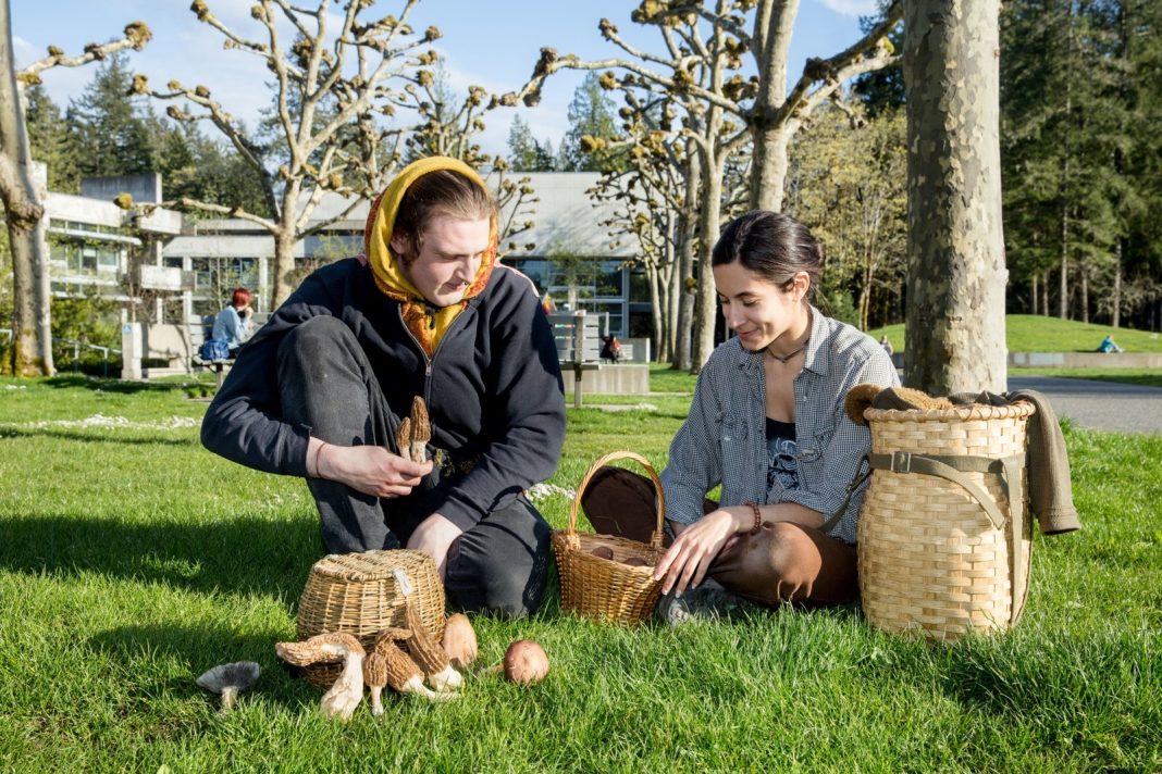 Evergreen State College Mycology Certification