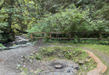 Flaming Geyser State Park in Auburn
