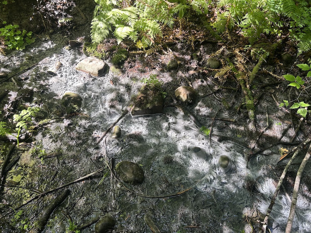 Flaming Geyser State Park in Auburn
