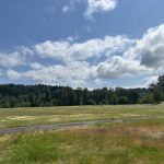 Flaming Geyser State Park Auburn