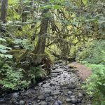 Flaming Geyser State Park in Auburn