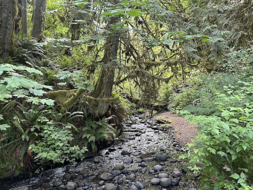 Flaming Geyser State Park in Auburn
