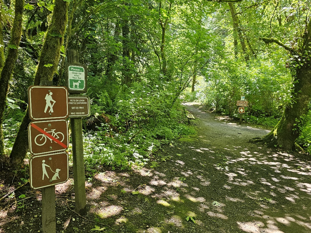 Tolmie State Park