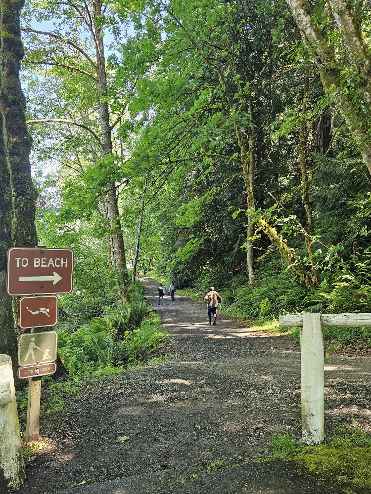 Tolmie State Park