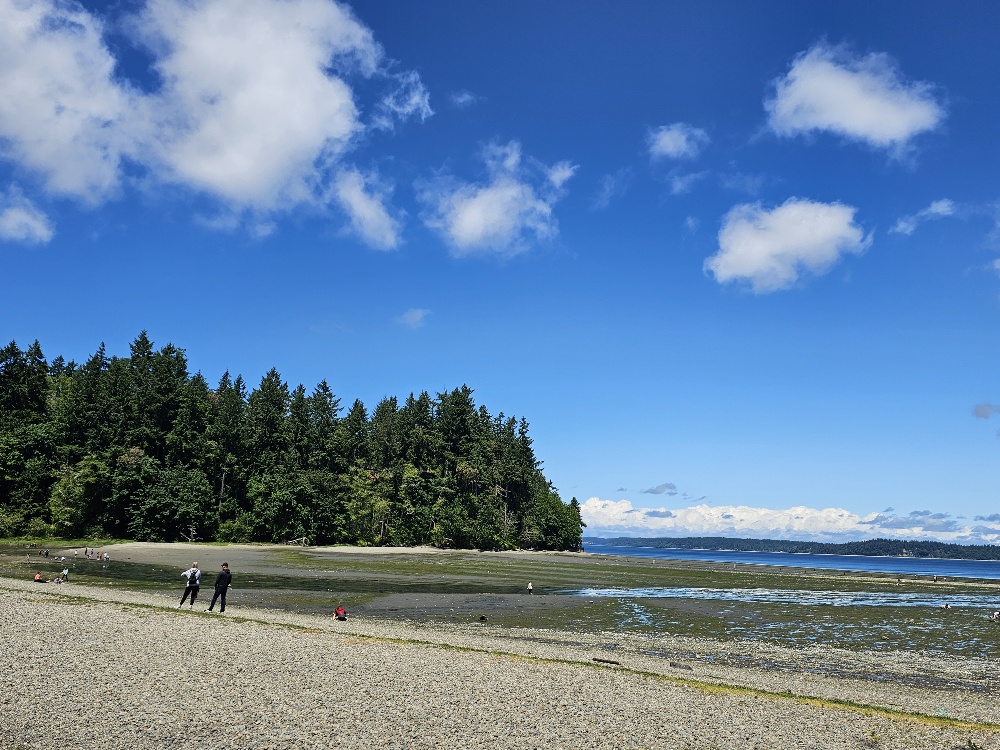 Tolmie State Park