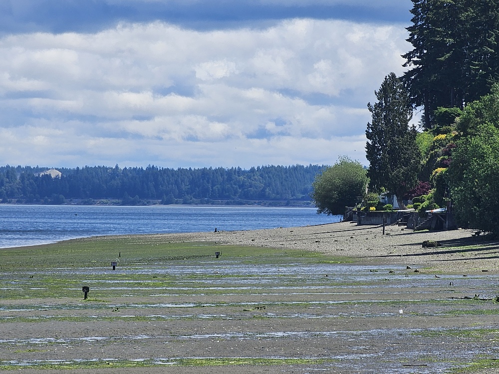 Tolmie State Park