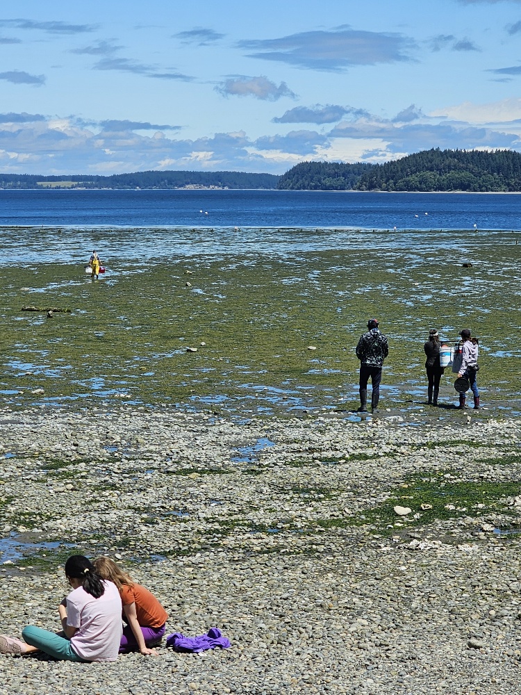 Tolmie State Park